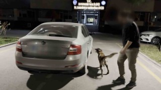 Linda kokladı, uyuşturucu taciri yakayı ele verdi
