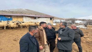 Malatyada depremzedelere ahır ve samanlık desteği