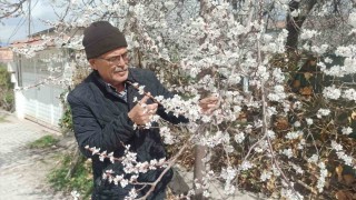 Malatyada kayısı üreticileri zirai don tehlikesiyle karşı karşıya