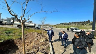 Malta Deresinde yenileme çalışmaları başladı