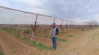 Manisalı çiftçiler don ve dolu riskine karşı tedbir almaya başladı
