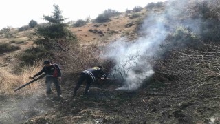 Mardinde çıkan ot yangını söndürüldü
