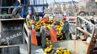 Marmarada müsilaj erken paydos ettirdi