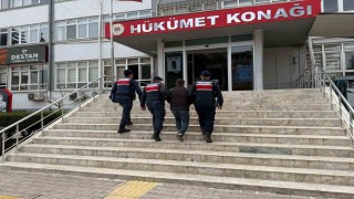 Mersinde 16 hayvanı çalan şüpheli yakalanıp tutuklandı