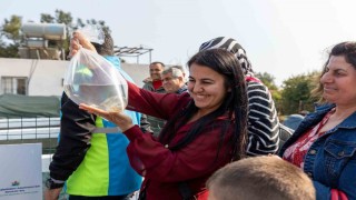 Mersinde kadınlar haşere mücadelesi için lepistes balığı yetiştirecek
