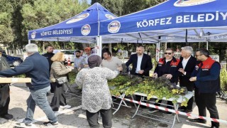 Mezarlıklarda fidan dağıtımı