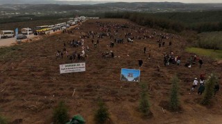 Minik elleriyle fidanları toprakla buluşturdular