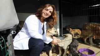 Mudanyada can dostların maması belediyeden