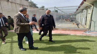 Muğla Büyükşehir Geçici Hayvan Bakım Evinde inceleme
