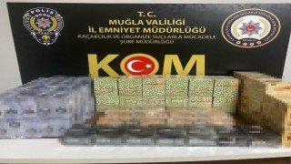 Muğlada kaçakçılığa geçit verilmedi: 1 tutuklama