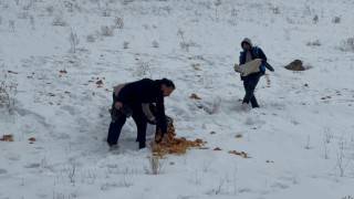 Muradiyeli gönüllüler yaban hayvanlarını unutmadı