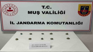 Muşta 206 şahıs yakalandı