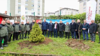 Orduda fidanlar toprakla buluşturuldu