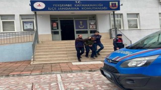 Orduda jandarma ekipleri bir haftada 24 binden fazla kişi sorguladı
