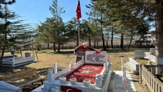 Orduda şehit mezarlarında bakım çalışmaları yapıldı
