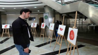 Organları sanat eserine dönüştürüyor