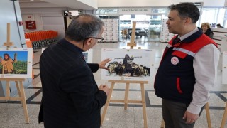 Orman ve insan fotoğraflarla anlatıldı