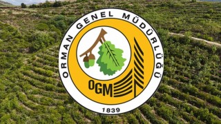 Osmaniye Orman İşletme Müdürlüğü Geçici İşçi Alımı Yapacak