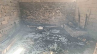 Osmaniyede ahırdaki yangında 16 küçükbaş hayvan telef oldu