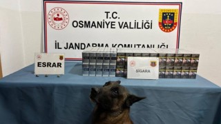 Osmaniye’de Bir Haftada 140 Asayiş Olayı Meydana Geldi