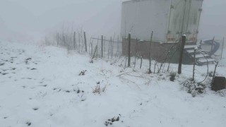 Osmaniye'de önce yağmur, sonra kar çiftçiye can suyu oldu