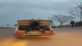 Otomobil bagajında yolculuk
