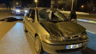 Otomobil başıboş ata çarptı: Sürücü yaralandı, at telef oldu