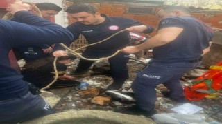 Oyun oynarken kuyuya düşen çocuk kurtarıldı