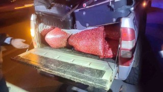 Park halindeki kamyonette 600 kilo kaçak kum midyesi ele geçirildi