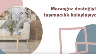 Profesyonel Taşımacılık Hizmeti