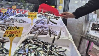 Ramazanda balık tezgahlarında sakinlik
