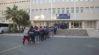 Sahte ilanla dolandırıcılık yapan çete çökertildi: 17 tutuklama