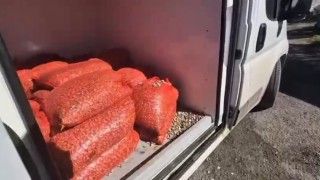 Samsunda 1 ton 180 kilo kaçak midye ele geçirildi