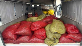 Samsunda 1,5 ton kaçak midye ele geçirildi