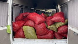 Samsunda 2 ton kaçak midye ele geçirildi