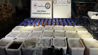 Samsunda balıkçı deknesine kaçak bal operasyonu: 1 ton 240 kilo bal ele geçirildi