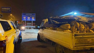 Samsunda kaçak avlanan 3,5 ton midye ele geçirildi