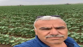 Şanlıurfada forkliftin çarptığı fabrika sahibi öldü
