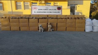 Şanlıurfada kaçak sigara ve tütün ele geçirildi