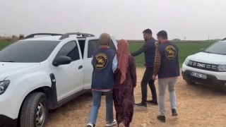 Şanlıurfada kan donduran cinayet çözüldü