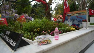 Şehit kabirlerine şeker ve kolonya bırakıldı