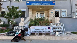 Seydikemerde uyuşturucu operasyonu: 1 kişi tutuklandı