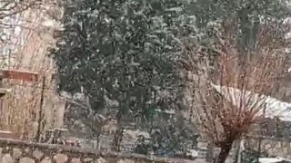 Siirtte mart ayında kar sürprizi