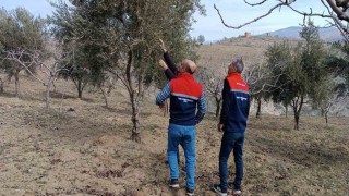 Siirtte soğuk hava ve don kontrolleri yapıldı