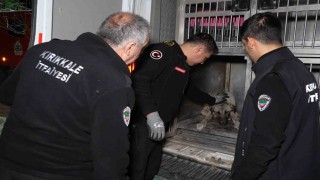 Sirenler bu kez yaralı köpek için çaldı