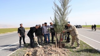 Şırnak Şerafettin Elçi Havalimanında ağaçlandırma çalışması