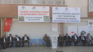 Şırnakta 42 çiftçiye 17 bin fıstık ve bıttım fidanı dağıtıldı
