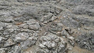 Şırnakta dağ keçileri dronla görüntülendi