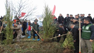 Şırnakta Dünya Ormancılık Günü kapsamında fidan dikimi yapıldı