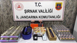 Şırnakta kaçakçılık operasyonlarında 44 kişiye işlem yapıldı